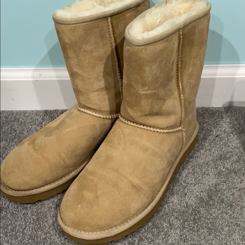 classic short uggs size 8
